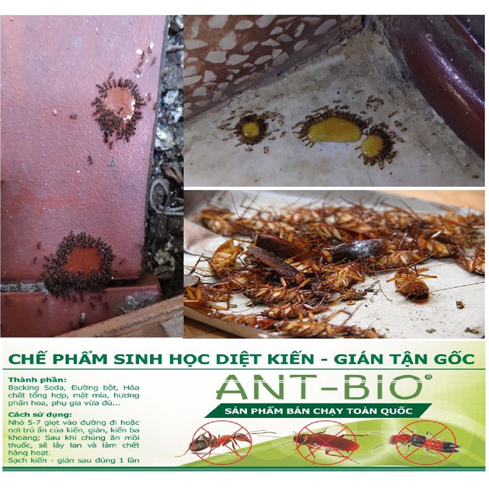 Thuốc diệt kiến gián tận gốc Ant Bio lọ 10ml - Đảm bảo an toàn tuyệt đối cho trẻ em và người lớn