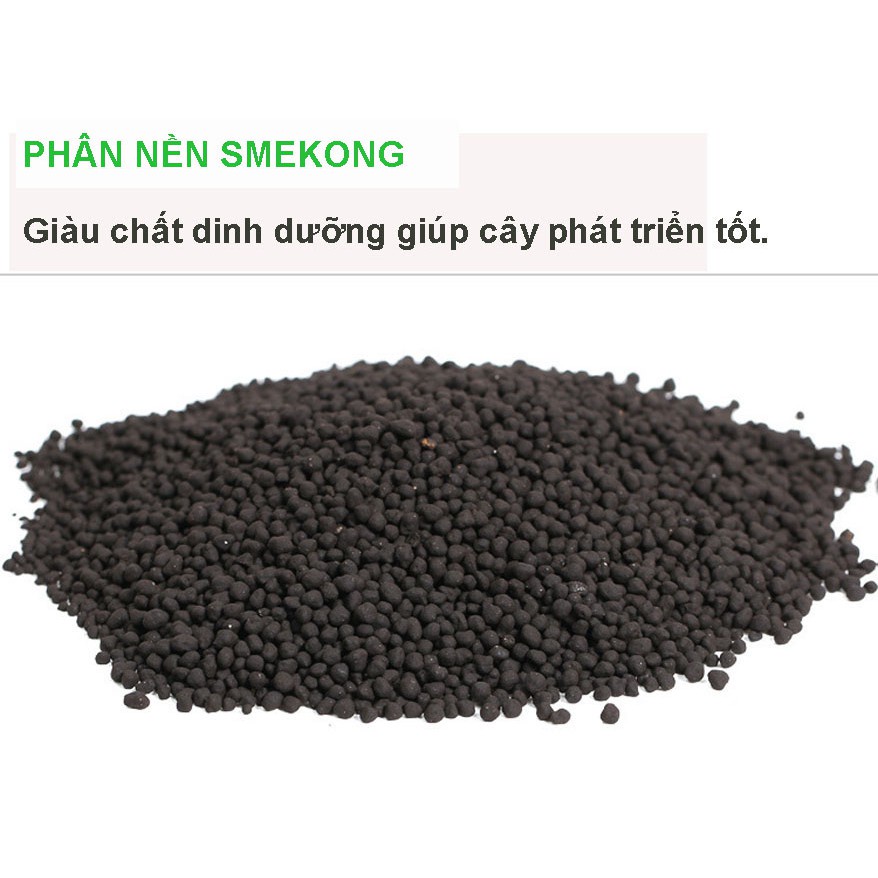 Combo Đá nham thạch  + Đất nền thủy sinh S.MEKONG 2KG giàu dinh dưỡng, giúp cây phát triển mạnh