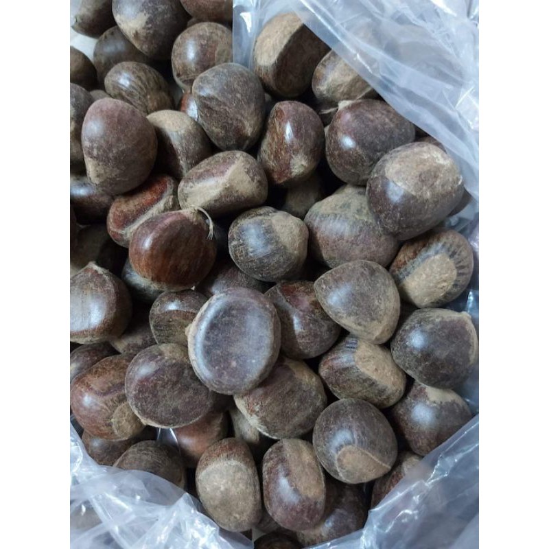 1KG HẠT DẺ TƯƠI TRÙNG KHÁNH.