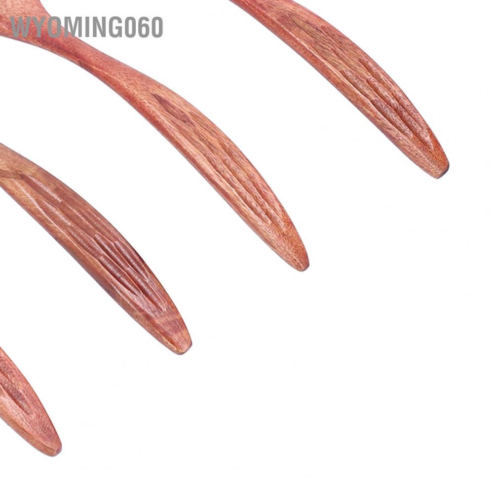 Wyoming060 5Pcs Wooden Scoop Long Handle Sugar Salt Tea Seasoning Spoon for Home Restaurant Hotel