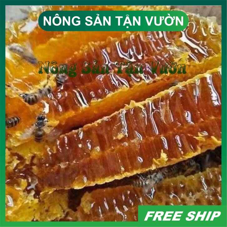 Sáp Ong kèm Mật Ong NGUYÊN CHẤT - Hàng chuẩn ĐakLak - hũ 500ml - HÀNG ĐẶT TRƯỚC