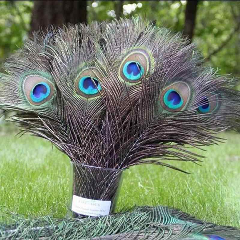 20 Lông công Ấn Độ 25-30cm – Mắt vừa tự nhiên 100%