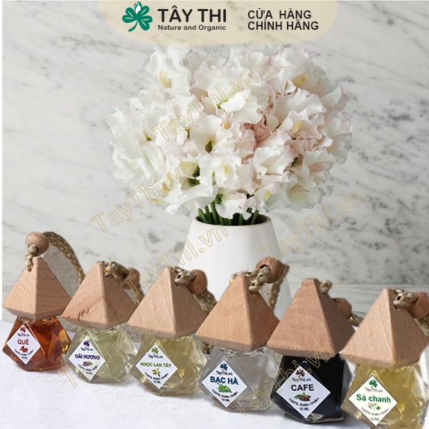 Tinh Dầu Treo Ô Tô  Nguyên Chất - giúp khử mùi hôi trên xe hơi, chống say xe hiệu quả 10ml