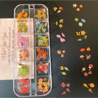 Set trang trí lá phong 12 mẫu