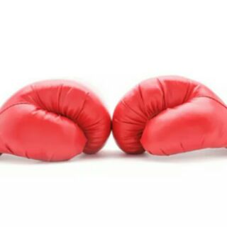 Găng đấm boxing
