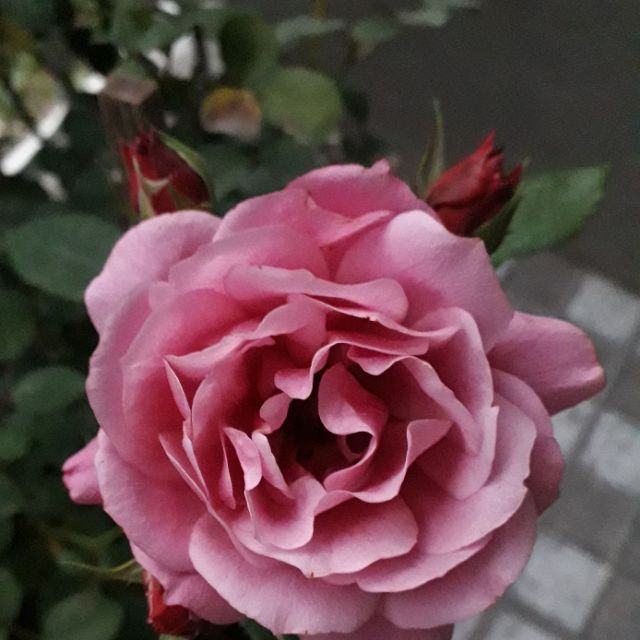 tinhthuy8082, Cửa hàng trực tuyến | BigBuy360 - bigbuy360.vn