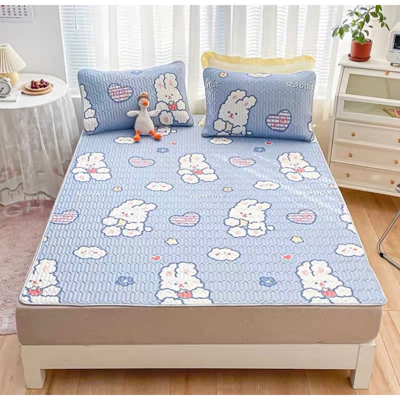 Chiếu điều hòa, Chiếu điều hòa tencel mát lạnh cao cấp in hình 2D tặng kèm 2 vỏ gối, mẫu mới nhất 2022