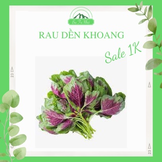 Hạt giống rau dền khoang Rado 08 Rạng Đông I Ba Tri Nhỏ