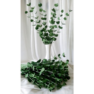 Nhành Lá Táo Decor