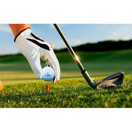 [Hàng Chuẩn] Bóng Golf Charm nhập khẩu chính hãng từ Canada ( 1 Hộp 12 quả)