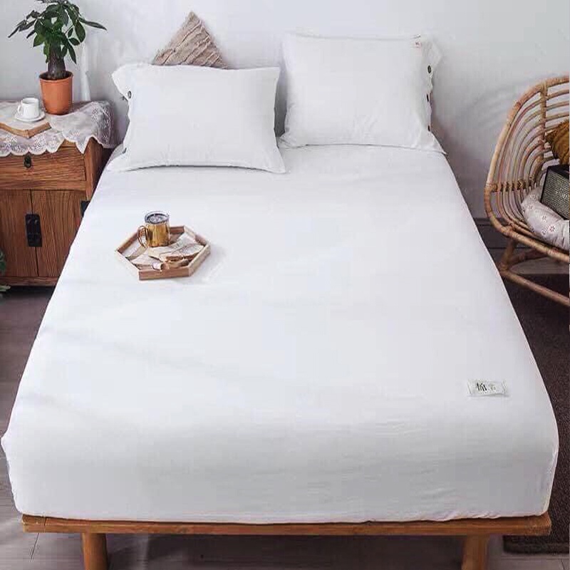 Bộ ga gối cotton Tici mầu trắng tinh chuyên dùng cho homestay hoặc nhà nghỉ, decor phòng ngủ Emmibedding store