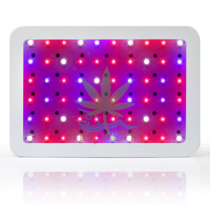 Đèn Led trồng cây, đèn trồng cây trong nhà (GL-600W)