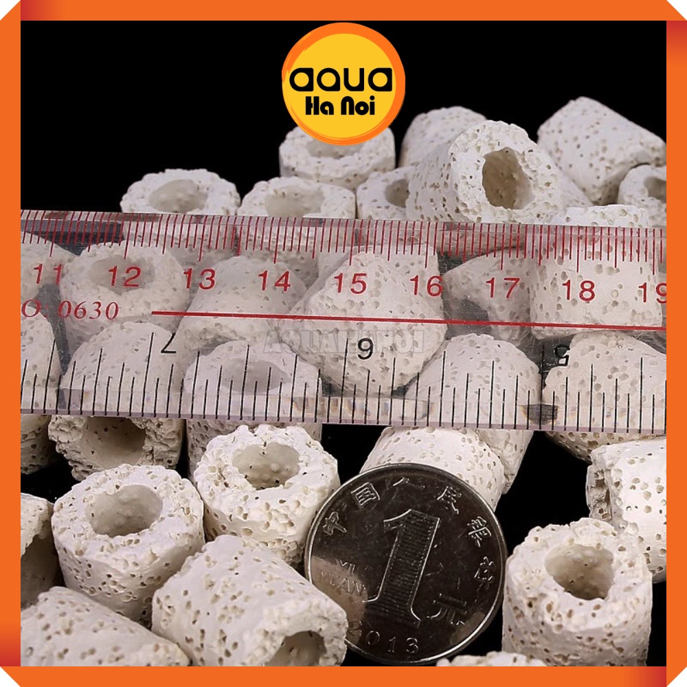Sứ trụ trắng - Vật liệu lọc làm trong nước hồ cá Koi, cá rồng, thủy sinh - 100g/500g