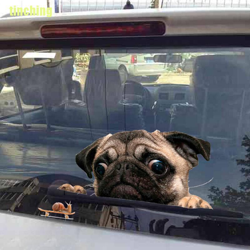 Miếng Dán Trang Trí Cửa Sổ Xe Hơi Hình Chó Pug 3D Dễ Thương