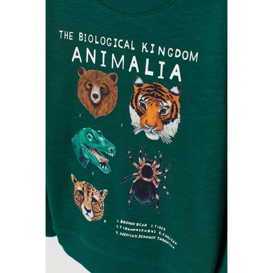 Bộ Nỉ Bé Trai Animal Xanh Lá Đậm HaM(bán lẻ áo lẻ quần)