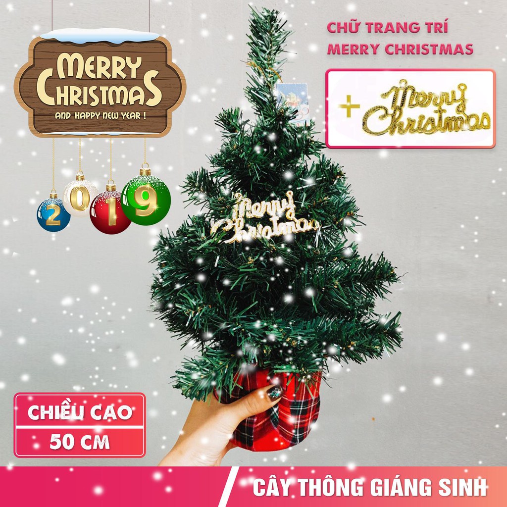 Cây thông mini để bàn Greennetworks