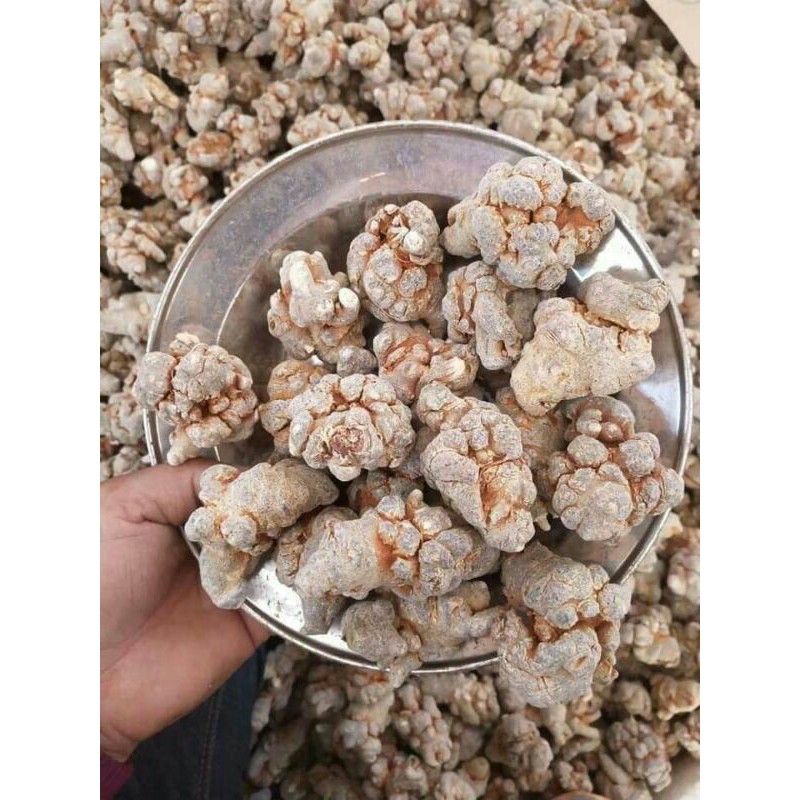 Sỉ như lẻ củ tam thất bắc 1kg