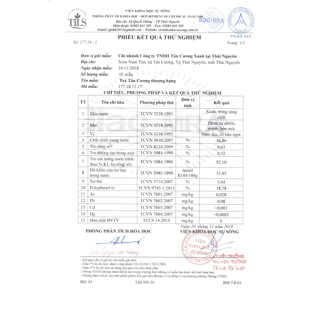 [HỎA TỐC HCM] CHÍNH HÃNGTrà Tân Cương Thái Nguyên Thượng Hạng - nước xanh, hậu ngọt, thanh chát dịu nhẹ