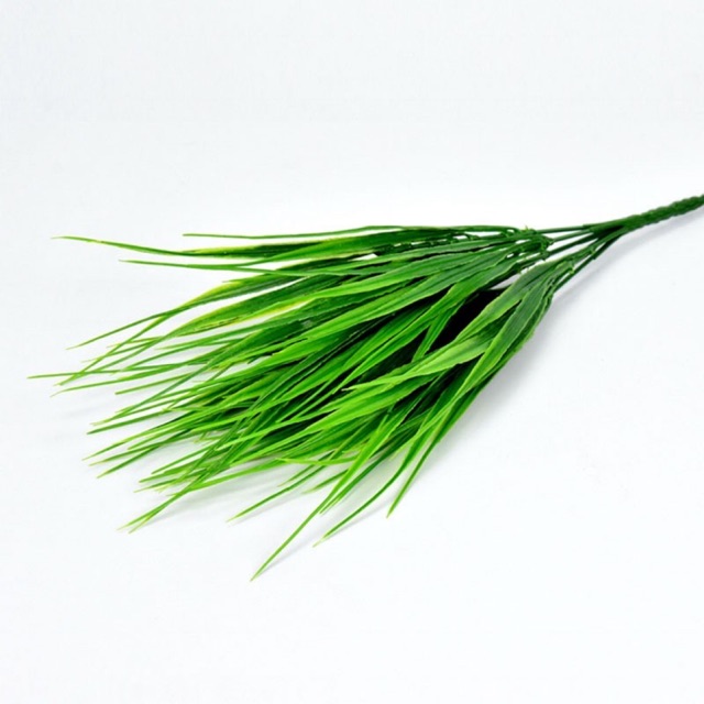 Cây lúa non - cây giả