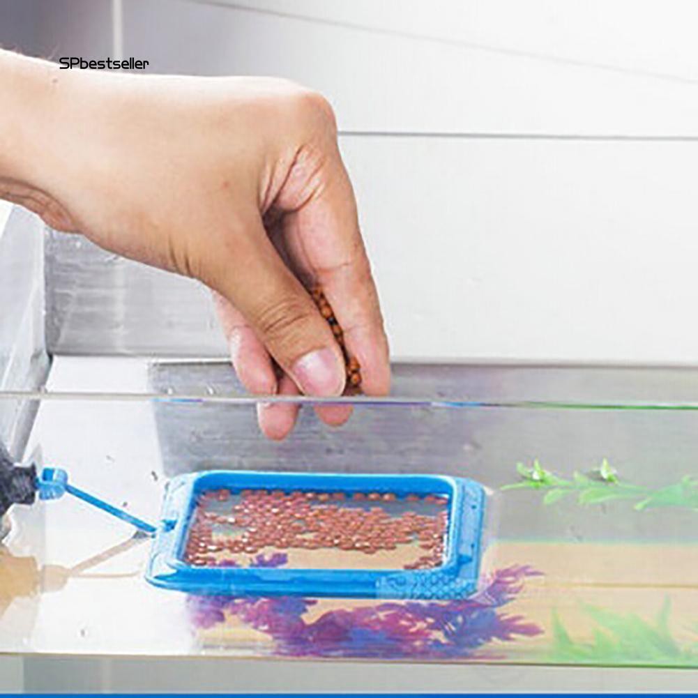 Phao nổi cho cá ăn tiện lợi chuyên dùng