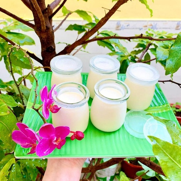 Máy làm sữa chua Green Line loại 15 cốc thủy tinh, máy ủ sữa chua nhanh ổn định an toàn tiện lợi.