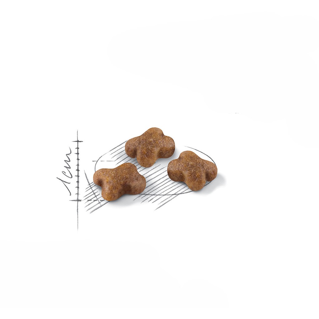 Thức Ăn Hạt Cho Mèo Con Royal Canin Kitten 36 Túi 01.kg Giá Rẻ #MintPet