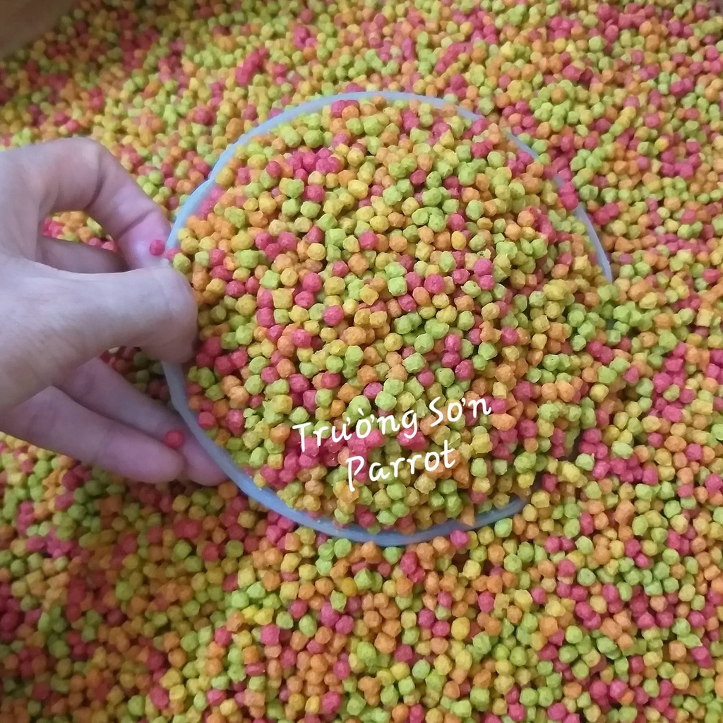 100g cám chào mào sinh sản  size M hạt to tròn