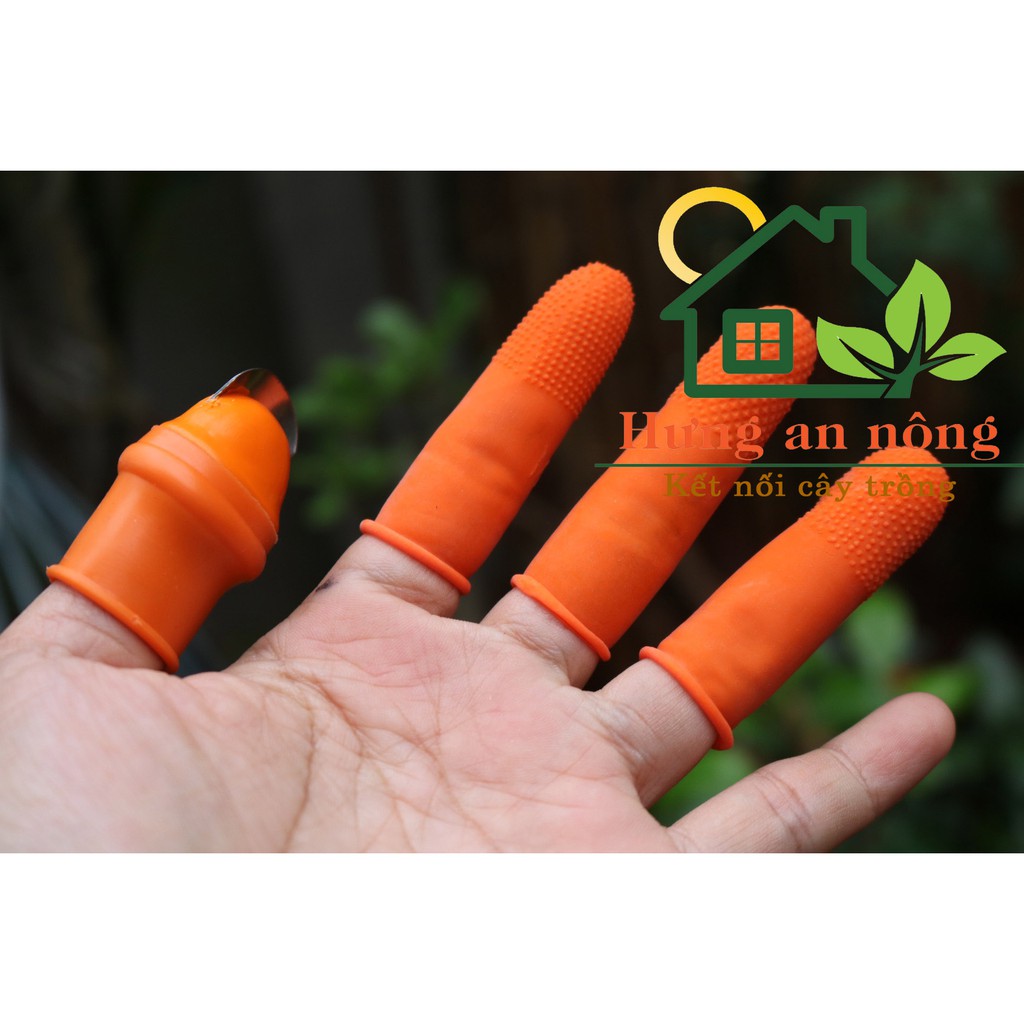Móng tay inox và bao tay xỏ ngón siêu tiện lợi hái rau, hái thuốc, lặt rau, hái trái cây bảo vệ móng tay siêu bén