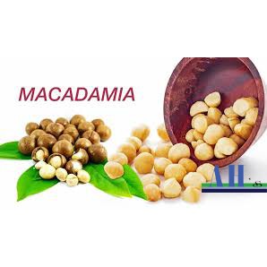  MẮC CA ÚC 