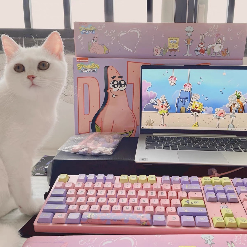 Bàn phím cơ AKKO 5108S - Phiên bản giới hạn Sponge Bob: LED RGB, hotswap, keycap PBT, switch CS jelly và CS silver