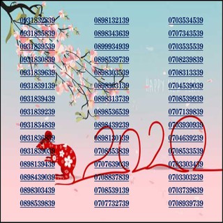 Sim số Thần Tài chọn lọc nghe gọi thả ga - lướt web thả cửa