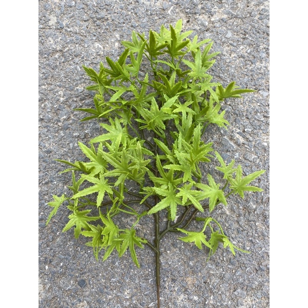 Cành lá phong 4 màu làm cây trang trí,cây bonsai handmade, lá tùng