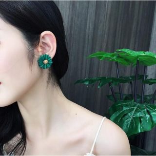 Hoa tai nữ baolong