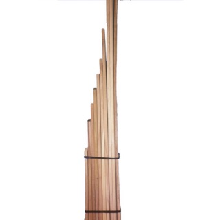Bộ nẹp gỗ sơ cứu gồm 10 thanh