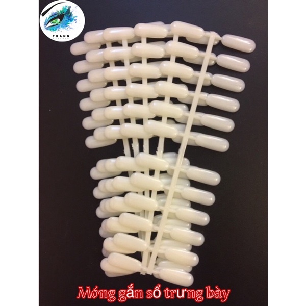 Bộ móng gắn sổ mẫu trưng bày , móng gài sổ, móng dán sổ (set 120móng)