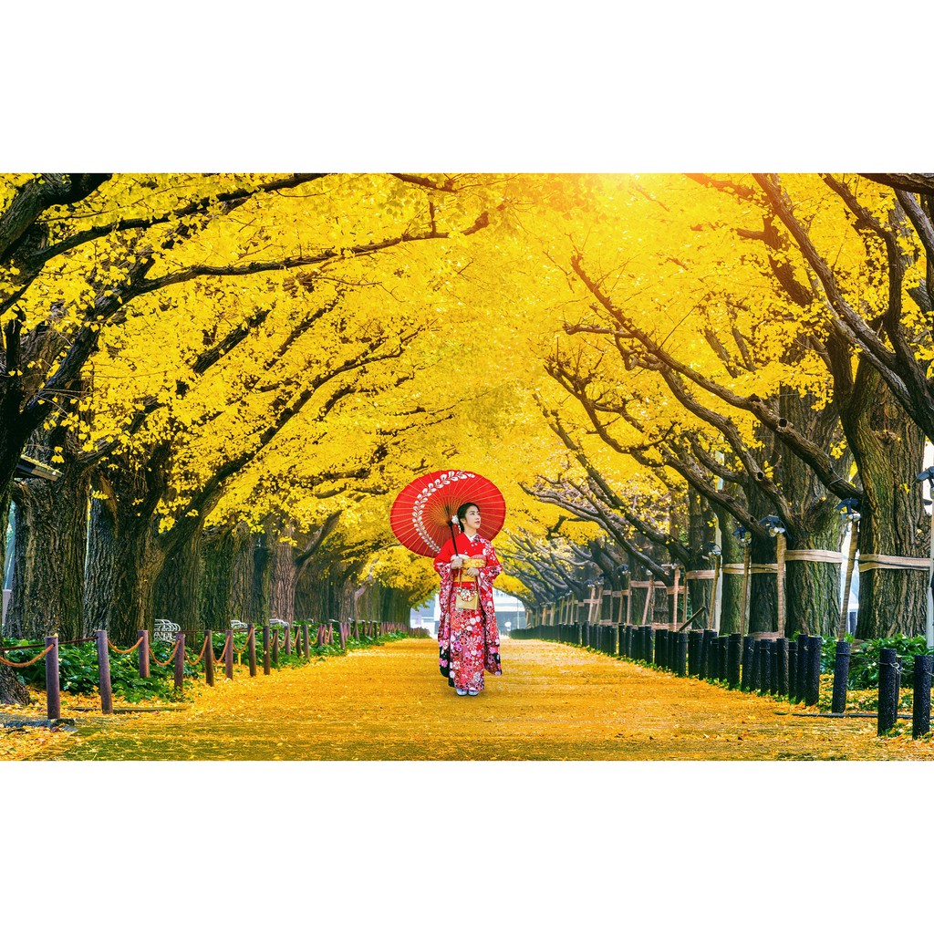 Bộ Tranh Xếp Hình Minh Châu 1000 Mảnh Ghép (Kích Thước 50x80cm) – Đại Lộ Ngân Hạnh, Tokyo