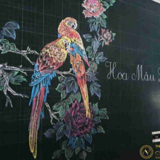 🌸🌸 PHẤN LỤC GIÁC 12 VIÊN NV 🌸🌸