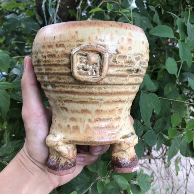 Chậu xuất Hàn trồng sen đá