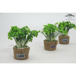 CHẬU MẦM ĐÁ MINI VINTAGE SỐ 44