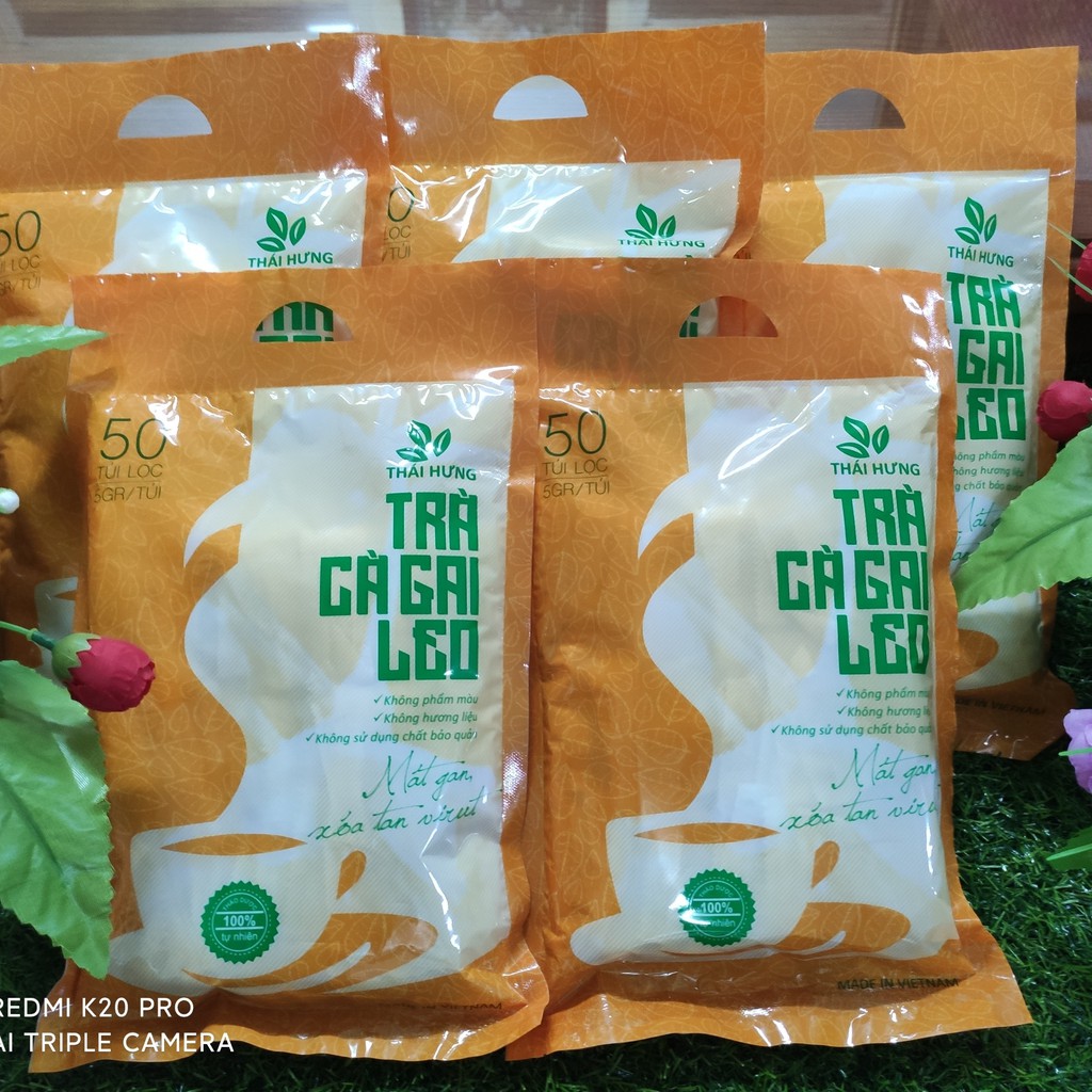Trà Cà Gai Leo Thái Hưng (trà thảo mộc túi lọc - 100% tự nhiên - không chất bảo quản, dạng bịch)