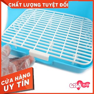 Khay Vệ Sinh Guinea Pig - Thỏ