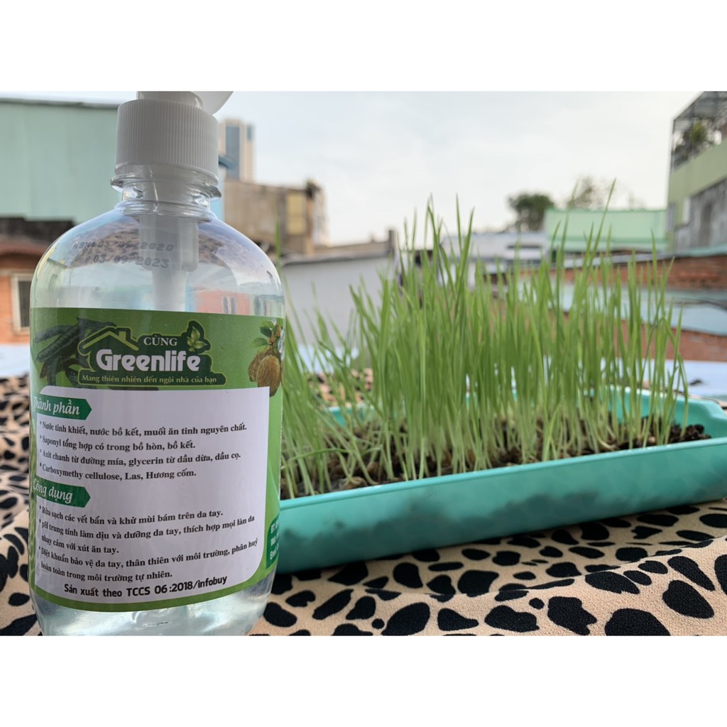 Nước rửa tay sinh học Greenlife 500ml, bồ hòn, hương cốm, Eco