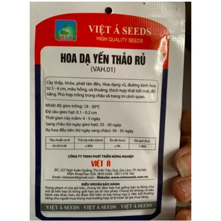 Hạt giống hoa Dạ yến thảo mix, sọc, rủ