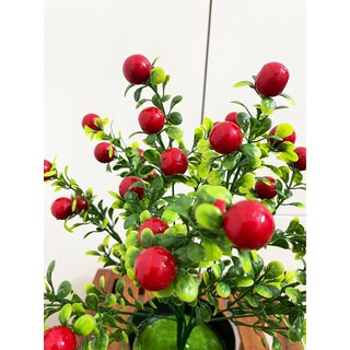 LẺ 1 CÀNH CHERRY ĐỎ (SƠ RI) 30CM