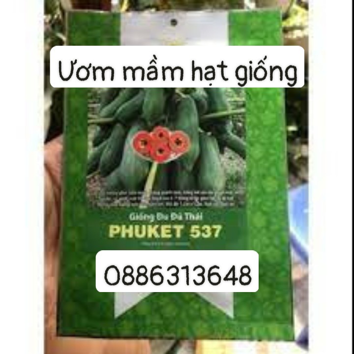 Hạt Giống Đu Đủ Thái PHUKET 537