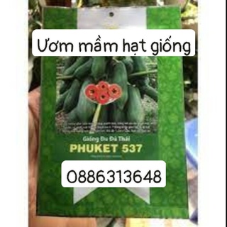 Hạt Giống Đu Đủ Thái PHUKET 537 (20 hạt)