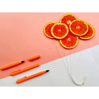 Bút Cánh Diều 202