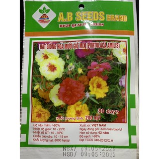 HẠT GIỐNG HOA MƯỜI GIỜ MỸ