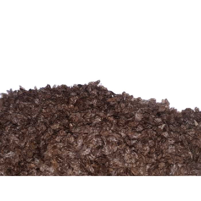 Cây giống Hông .