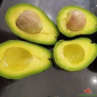Bơ sáp đắk lắk #105k / 7kg